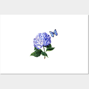 Blue hydrangea and butterfly Posters and Art